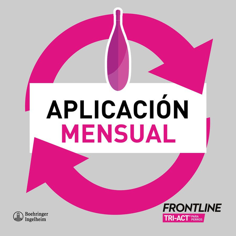 Frontline Tri-Act Pipetas Antiparasit&aacute;rias para c&atilde;es 10 - 20 kg, , large Imagem n&uacute;mero 4